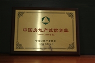 B1、中國(guó)房地產(chǎn)誠(chéng)信企業(yè)2005—2006年